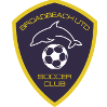 圣喬治維萊FC